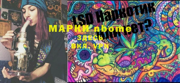 ПСИЛОЦИБИНОВЫЕ ГРИБЫ Балахна