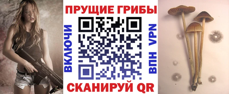 Псилоцибиновые грибы ЛСД  kraken зеркало  Новомичуринск 